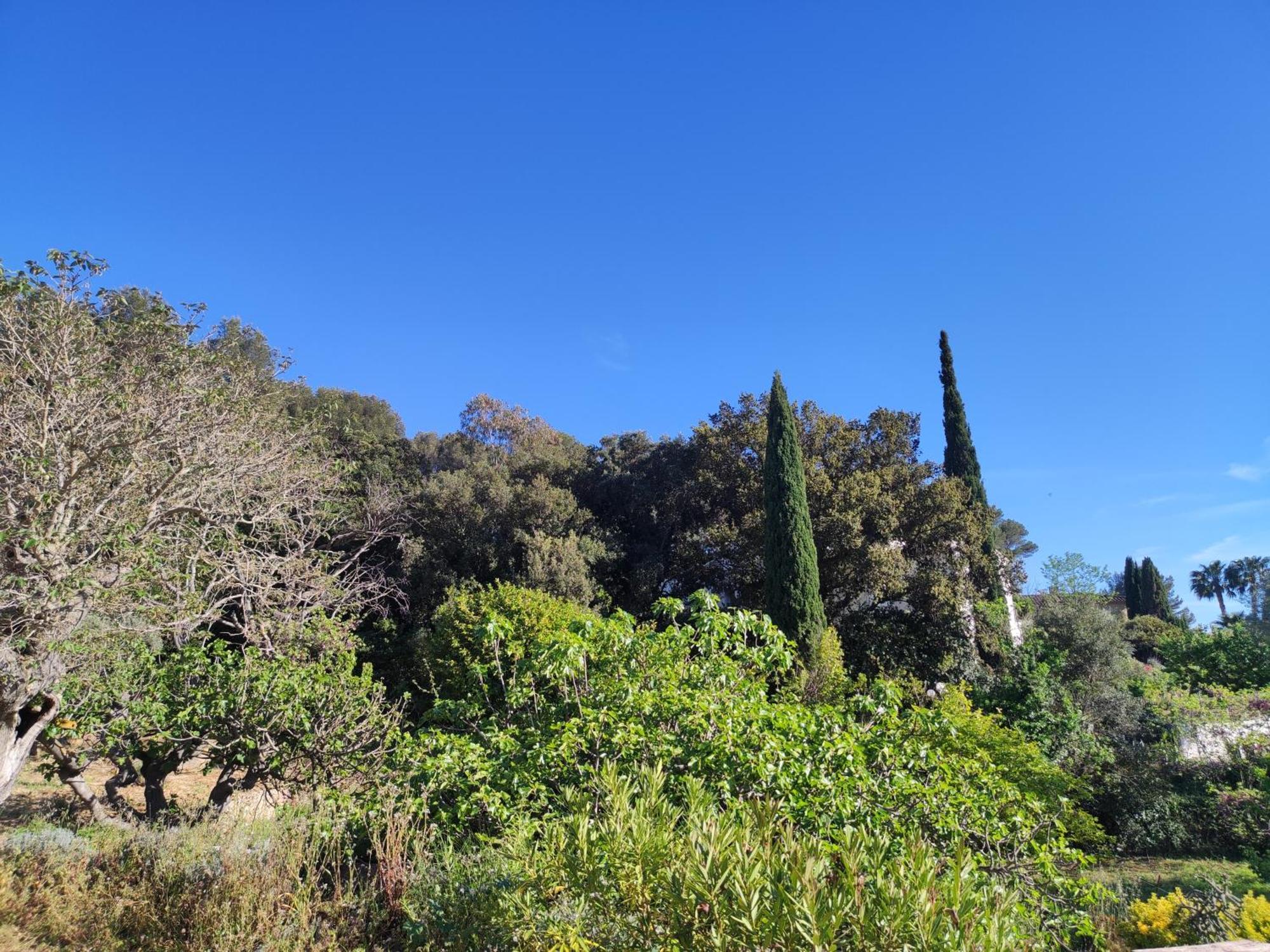 Bastide Provencale Vue Mer A 5 Min De La Plage Sanary-sur-Mer Værelse billede